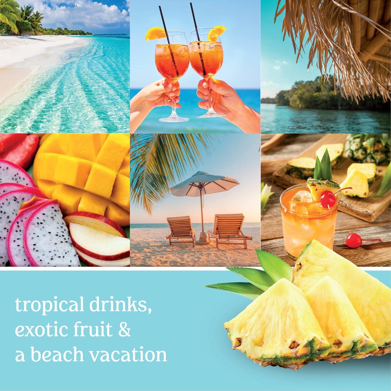 imageYankee Candle Bahama Breeze Sidekick Fragrance Refill Triple 106 ozBahama Breeze