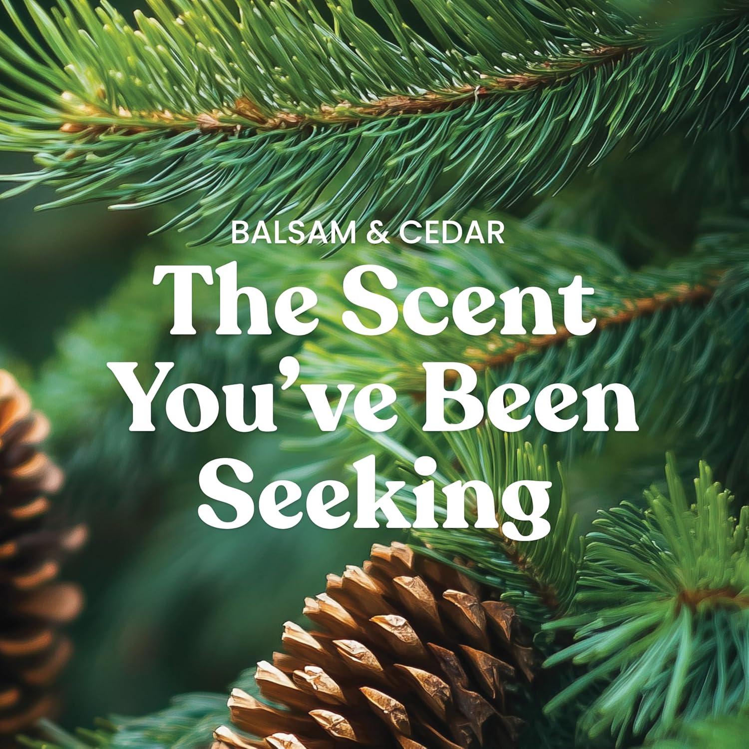 imageYankee Candle Balsam ampamp Cedar Holiday Scented Candle 22oz Large Jar with up to 150 Hour Burn Time GiftableBalsam Cedar