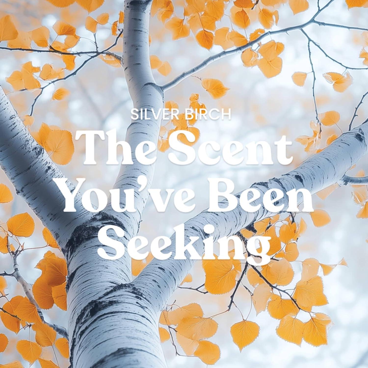 imageYankee Candle Clean Cotton Scented Candle 22oz Large Jar with up to 150 Hour Burn Time Giftable BirthdaysSilver Birch