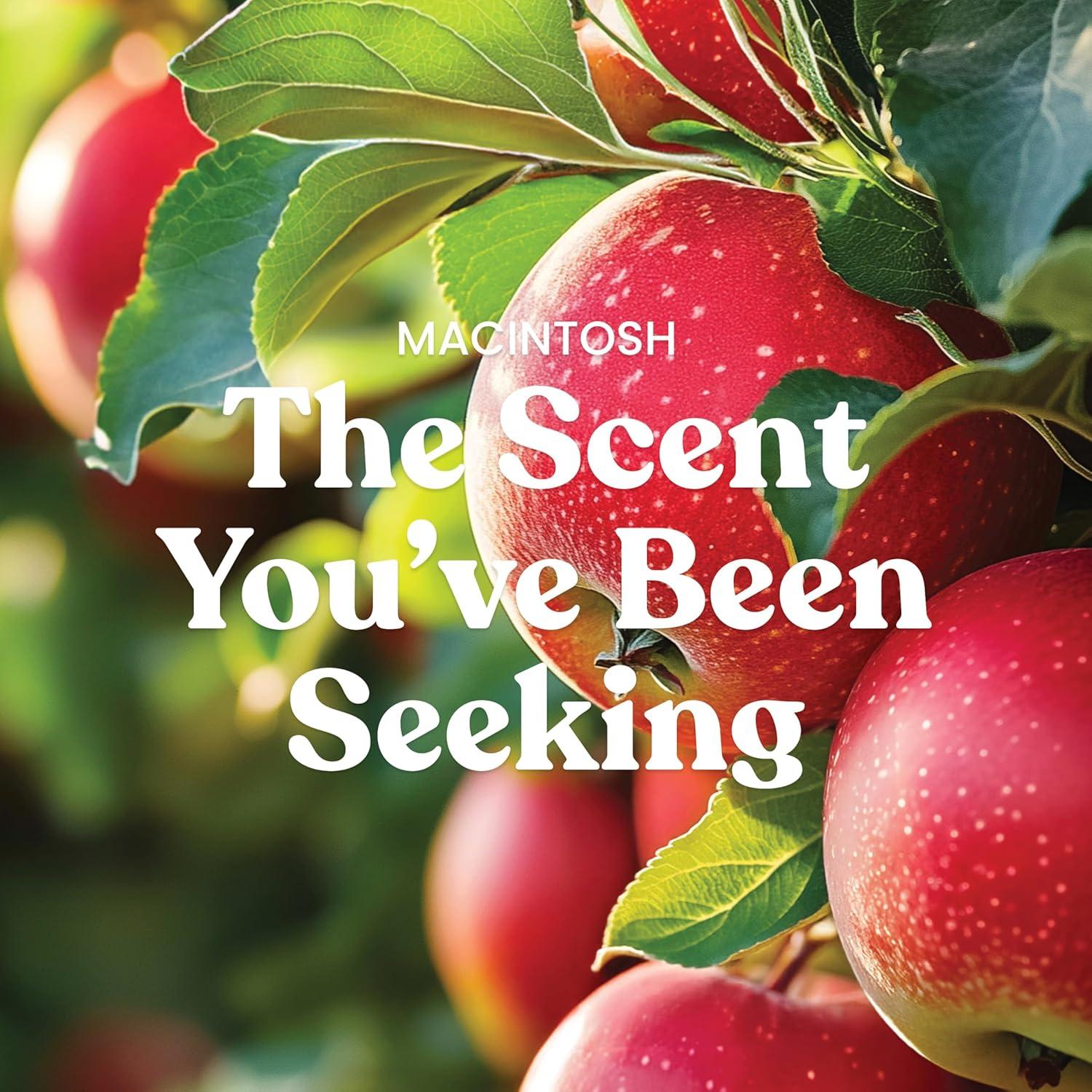 imageYankee Candle Pink Sands Scented Candle 22oz Large Jar with up to 150 Hour Burn Time Giftable BirthdaysMacintosh