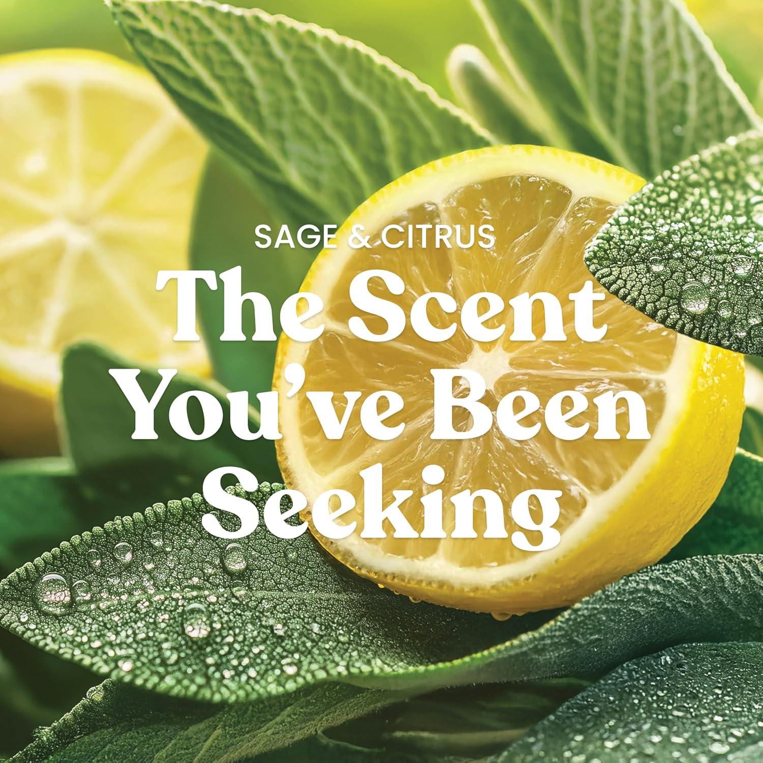 imageYankee Candle Sage ampamp Citrus Scented Candle 22oz Large Jar with up to 150 Hour Burn Time Giftable BirthdaysSage Citrus