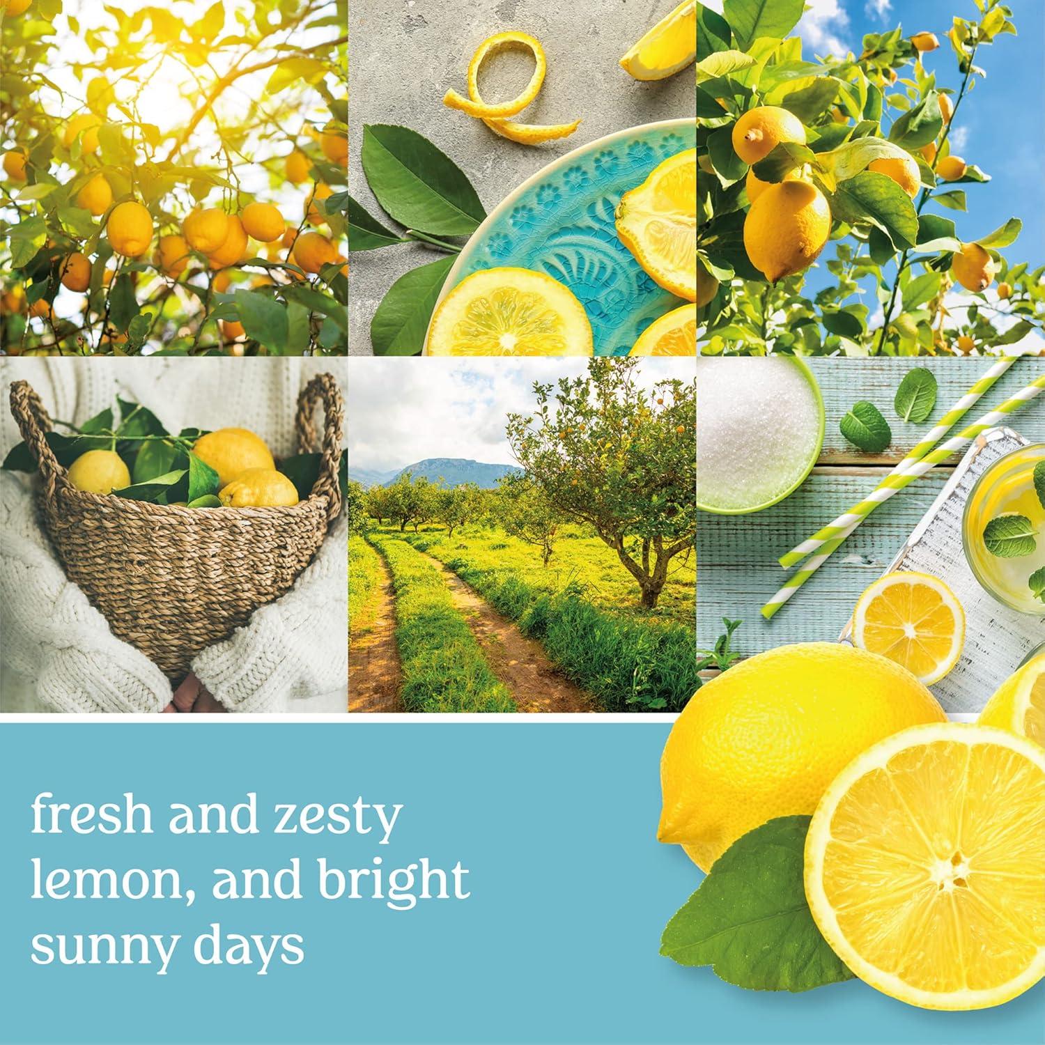 imageYankee Candle ScentLight Refill Lemon LavenderSicilian Lemon