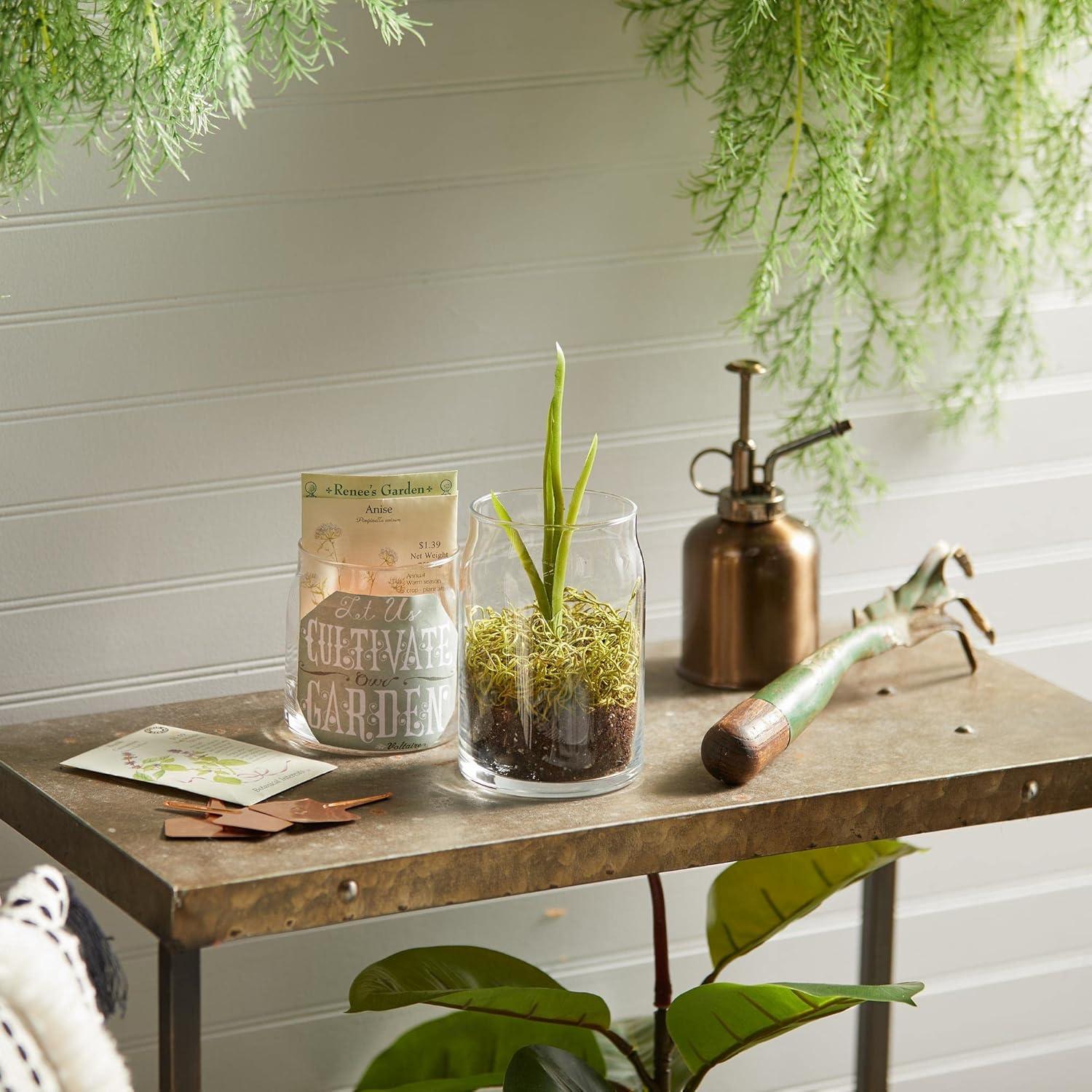 imageYankee Candle Studio Scented Candle with up to 50 Hour Burn Time Premium Plant Wax Blend for Consistent Burn 10 oz Jar Candle with Room Filling Fragrance Iced Berry LemonadeCoconut Beach