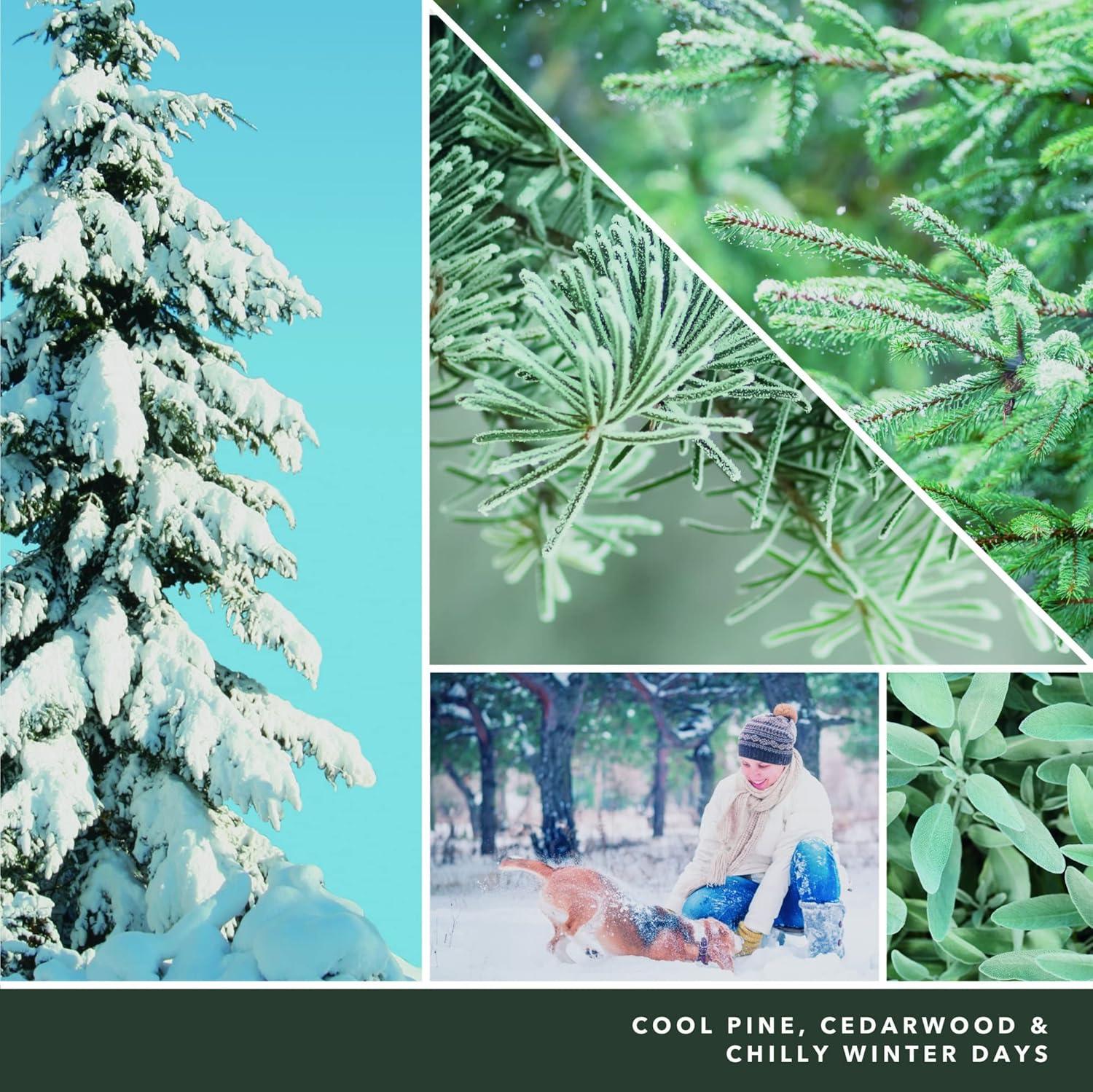 imageYankee Candle Studio Scented Candle with up to 50 Hour Burn Time Premium Plant Wax Blend for Consistent Burn 10 oz Jar Candle with Room Filling Fragrance Amber ampamp SandalwoodSilver Sage Pine