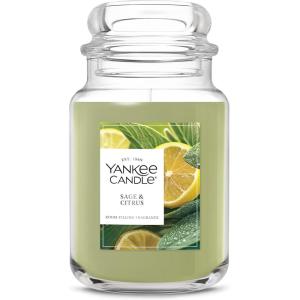Yankee Candle Sage & Citrus, Scented Candle, 22oz Large Jar with up to 150 Hour Burn Time, Giftable, Birthdays(Sage & Citrus)