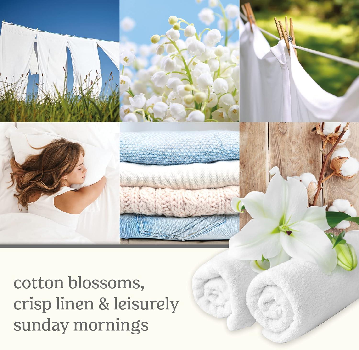 imageYankee Candle ScentLight Refill Midsummers NightClean Cotton